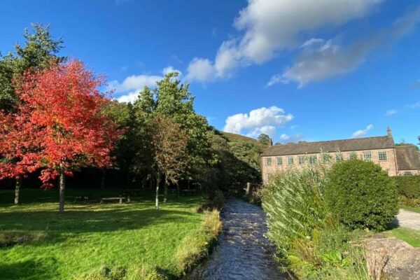 mill from river